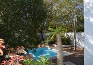 Gecko Cottages - Large Gecko