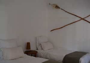 Gecko Cottages - Large Gecko