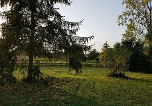 Gite Toulouzette, 3 bedrooms, 6 persons