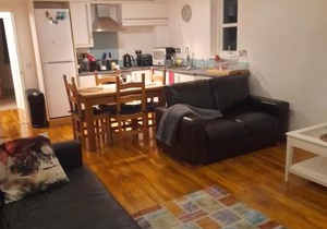 Glastonbury town center-entire apartment