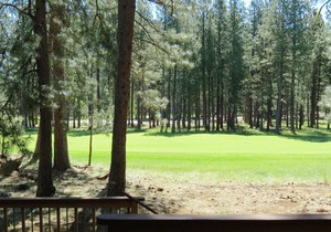 GM #132 Charming Three Bedroom on GM #7, Close to Glaze Meadow Recreation
