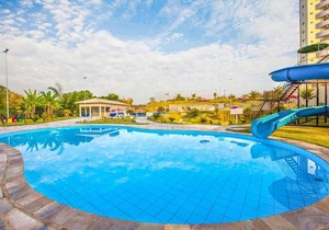 Golden Dolphin Express