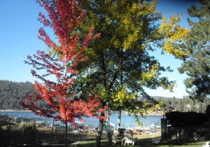 Gorgeous 8 person Lakehouse with Dock. Spectacular Views, 6 Person Spa & BBQ!