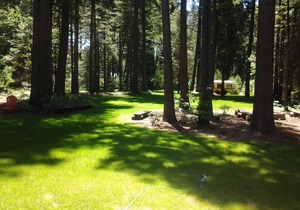 Grace Lake Resort Cabin # 1