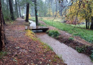 Grace Lake Resort Cabin # 1