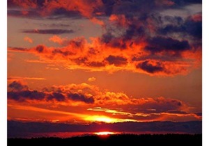 Grand Masters rental