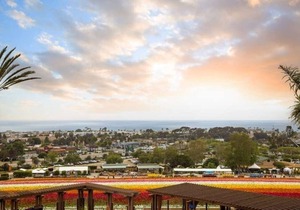 Grand Pacific Palisades Resort - 2 Bedroom Premier - 2BX