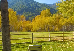 Great 1(plus) bedroom downstairs condo. This is the best location in Ketchum!