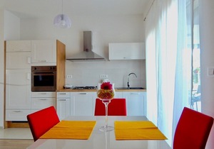 Ground Floor Apartments With Spacious Backyard / Lovely apartment with backyard and table tennis