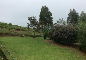 Guest house Woodridge Forest 11