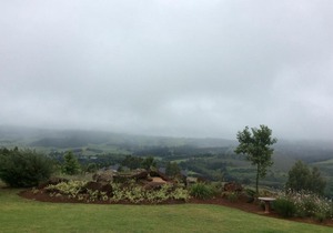 Guest house Woodridge Forest 11