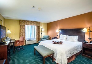 Hampton Inn & Suites Sacramento-Elk Grove Laguna I-5