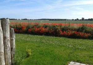 Haus Kranichfeld Wohnung T