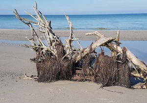 Haus Seeschwalbe Fw 5