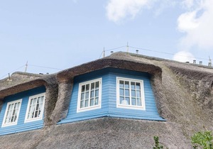 Haus Weesterhuk, Whg. 8 Jopi - Schwimmbad. Sauna. Reet