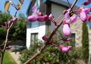 Haven - 5 star self catering cottage