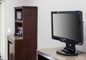 Hilton Garden Inn Detroit/Novi