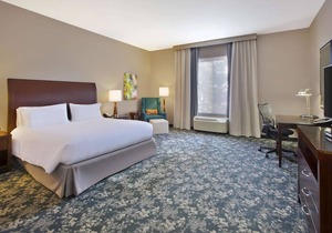 Hilton Garden Inn Detroit/Novi