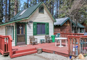 Hiner Haven - 1BR/1BA/Walk to Bear Mountain/Fireplace/Barbeque/DVDPlayer