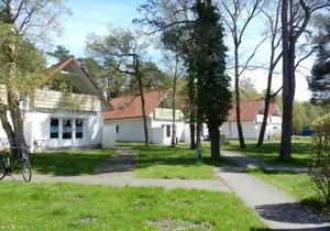 Hinter den Dünen D80