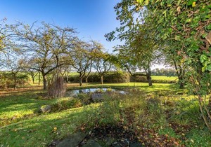 Hof Garz Wohnung Apfelgarten
