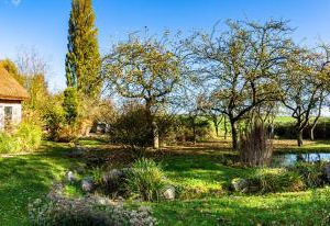 Hof Garz Wohnung Kräutergarten