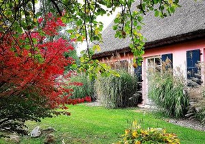 Hof Garz Wohnung Kräutergarten