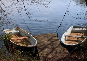 Holiday home for 6 guests with 50m² in Feldberger Seenlandschaft (66408)