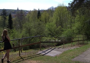 Holiday home for 6 guests with 50m² in Feldberger Seenlandschaft (66408)