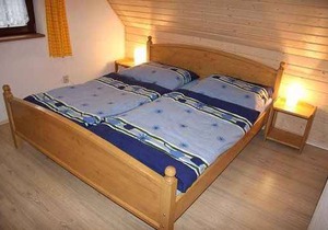 Holiday apartment 150 m from the ski bus