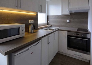 Holiday apartment 150 m from the ski bus