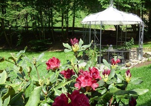 Holiday apartment Alf for 1 - 2 persons with 1 bedroom - Holiday apartment