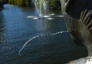 Holiday apartment Alf for 1 - 2 persons with 1 bedroom - Holiday apartment