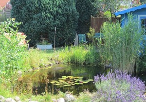 Holiday apartment Gießelrade for 1 - 4 persons with 1 bedroom - Holiday apartment