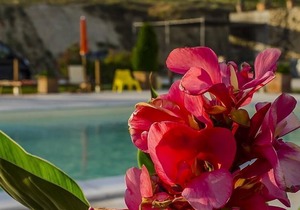 Holiday apartment San Costanzo for 1 - 5 persons with 1 bedroom - Holiday apartment
