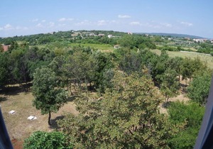 Holiday apartment Rakalj for 1 - 6 persons with 2 bedrooms - Holiday apartment