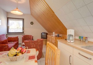 Holiday apartment with large garden and campfire place