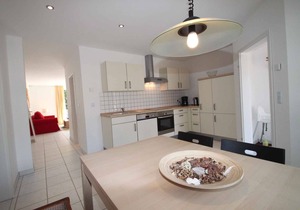 Holiday apartment with underfloor heating, fireplace and terrace