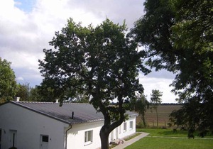 Holiday apartment with underfloor heating, fireplace and terrace