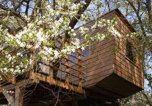 Holiday apartment with underfloor heating, fireplace and terrace