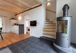 Holiday home for 6 guests with 75m² in Borgsum (96607)