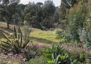 Holiday house Santiago do Cacém for 1 - 2 persons with 1 bedroom - Holiday house