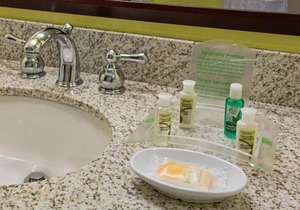 Holiday Inn Hotel French Quarter-Chateau Lemoyne by IHG