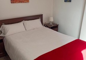Holidays2Malaga Ayala 2 bedroom - Huelin Area & 450 mts from beach