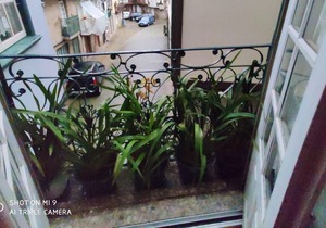 Homerez - Nice appartement for 2 ppl. with balcony at Guimarães