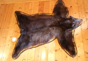 Hooked in the Smokies! Minutes to the Great Smoky Mnts & All major Attractions!