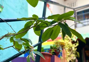 Hostel ∙ 12 guests