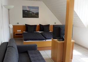 Hotel ∙ Apartment, shower, toilet, 1 bed room