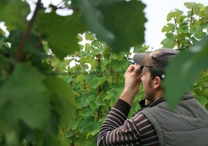 Hotel ∙ Apartment, shower, toilet, 1 bed room