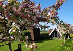 Hotelhuisje Warmenhuizen #B
